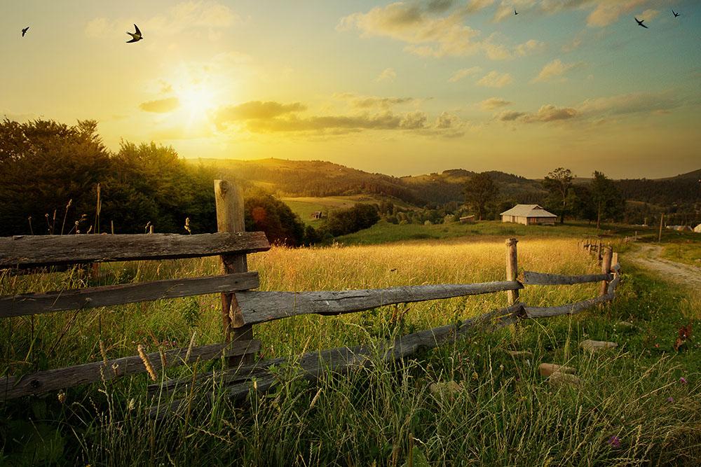 art rural landscape Wall Mural Wallpaper - Canvas Art Rocks - 1