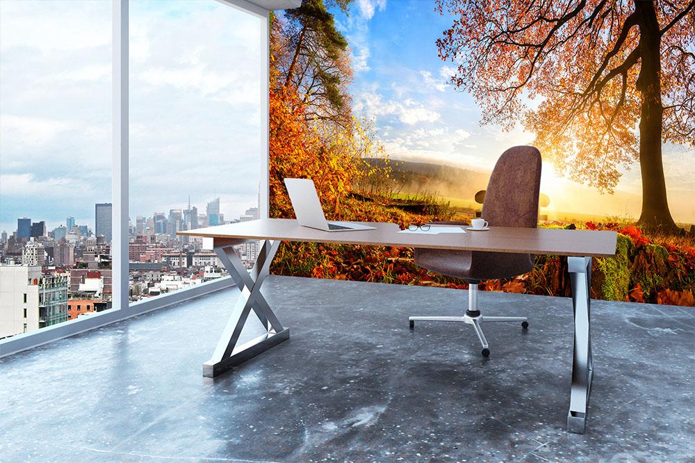 landscape with the sun warmly illumining Wall Mural Wallpaper - Canvas Art Rocks - 3