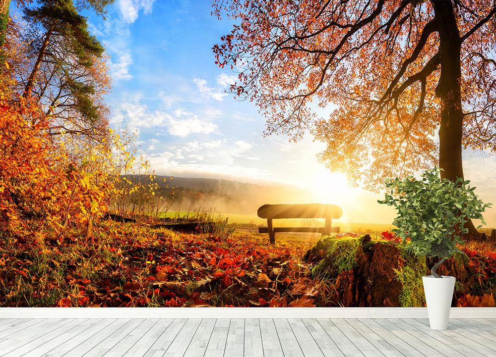 landscape with the sun warmly illumining Wall Mural Wallpaper - Canvas Art Rocks - 4