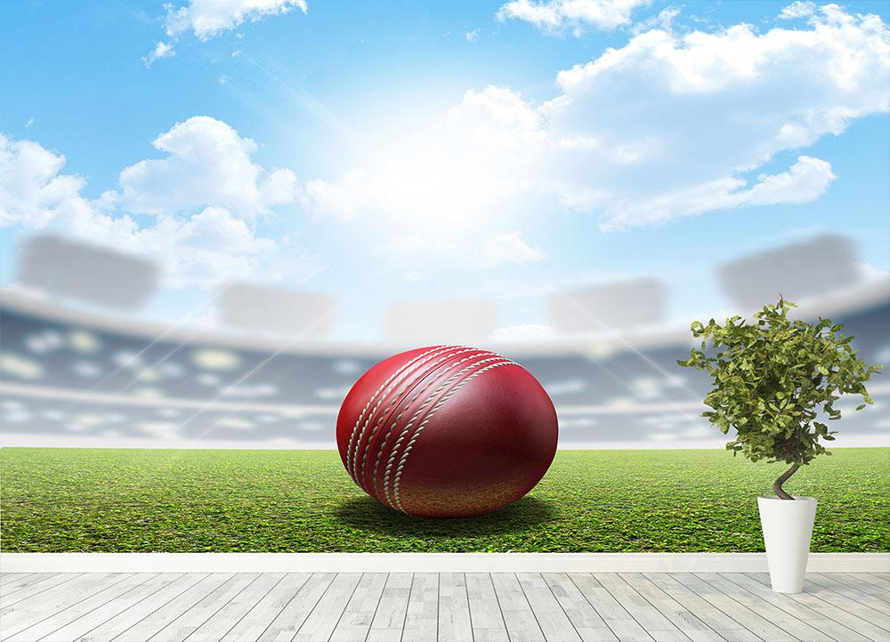 red leather cricket ball on green grass Wall Mural Wallpaper - Canvas Art Rocks - 4