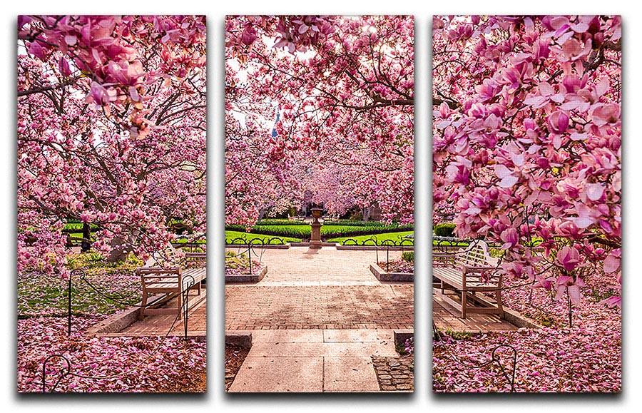 spring foliage near the National Mall 3 Split Panel Canvas Print - Canvas Art Rocks - 1