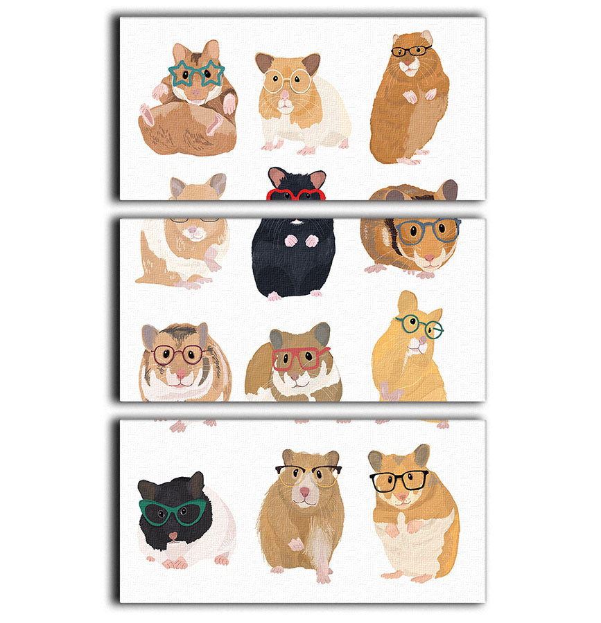 12 Hamsters In Glasses 3 Split Panel Canvas Print - 1x - 1