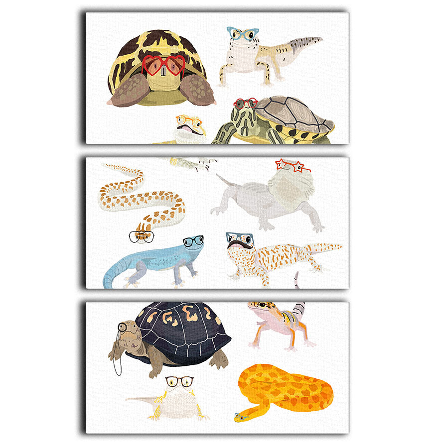 12 Reptiles In Glasses 3 Split Panel Canvas Print - 1x - 1