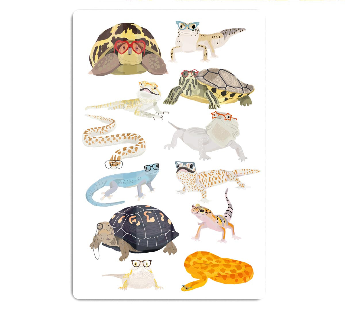 12 Reptiles In Glasses Acrylic Block - 1x - 1