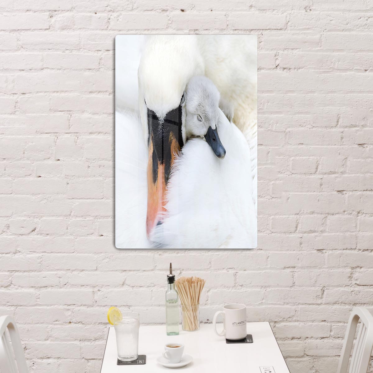 A Mother Swan Acrylic Block - 1x - 3
