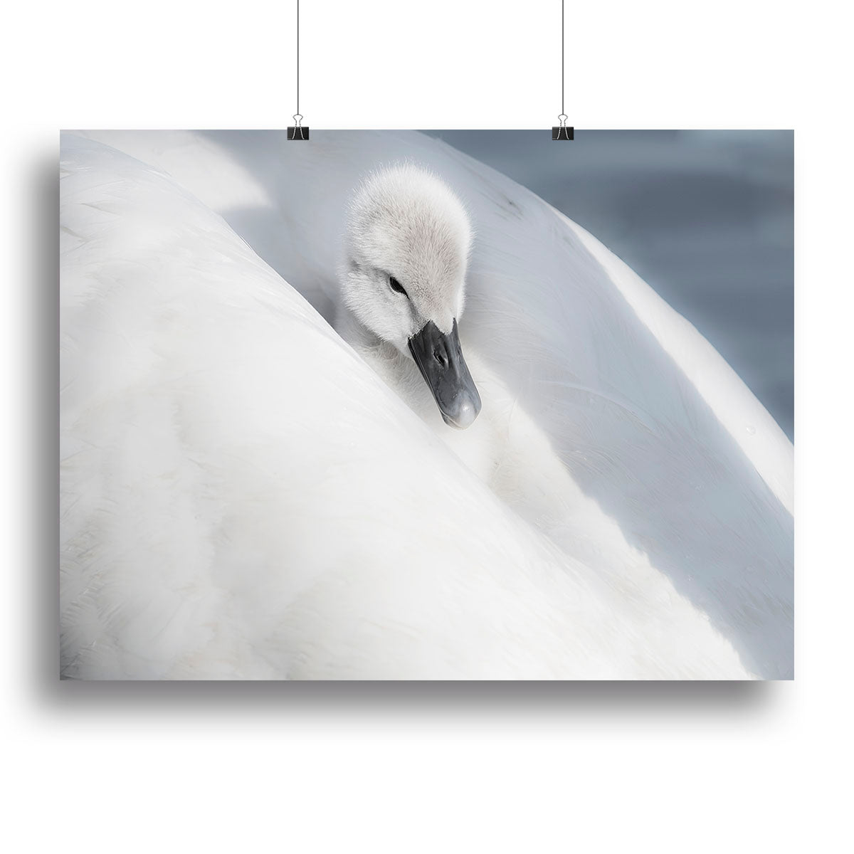 A dress that is too big Canvas Print or Poster - 1x - 2