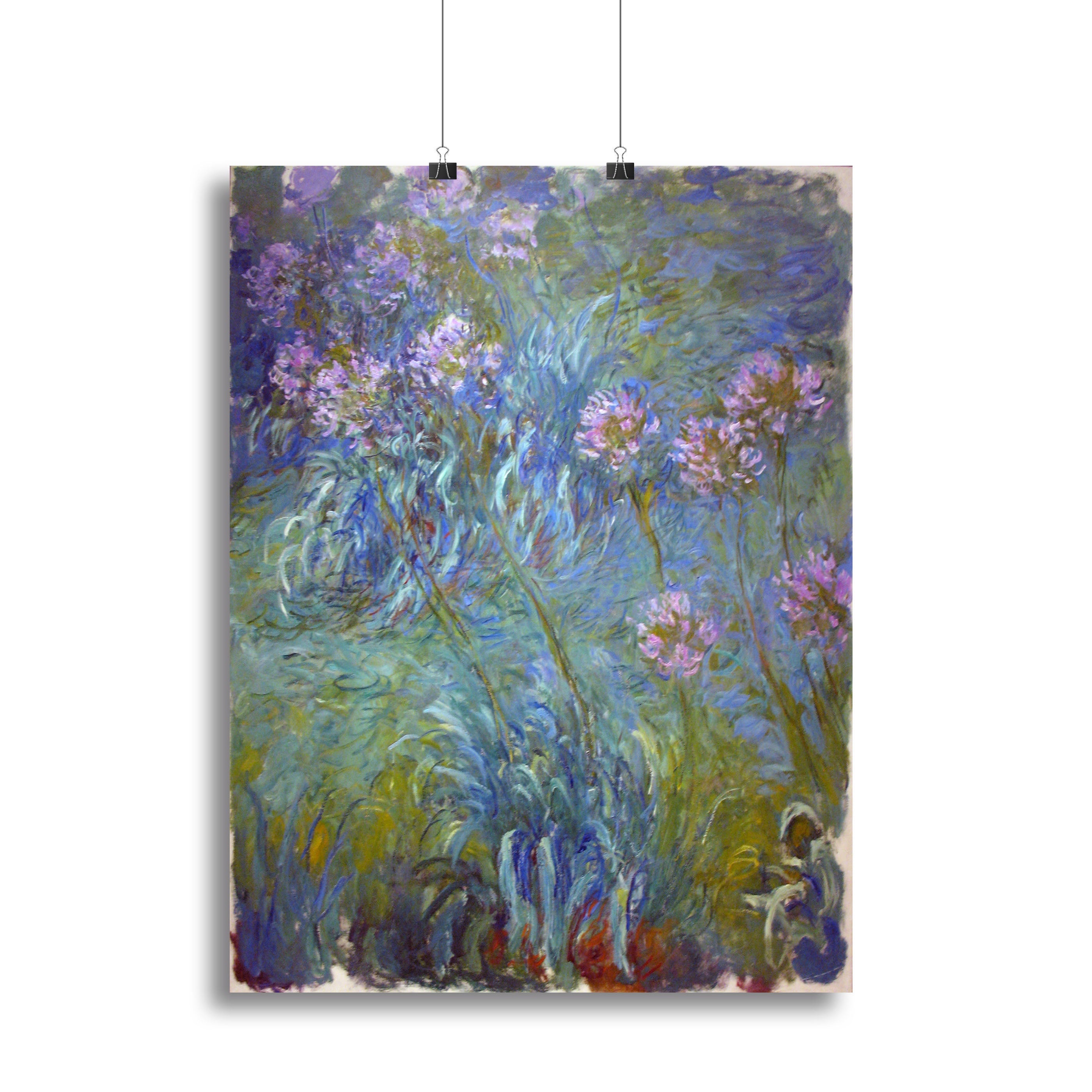 Agapanthus by Monet Poster - Unframed