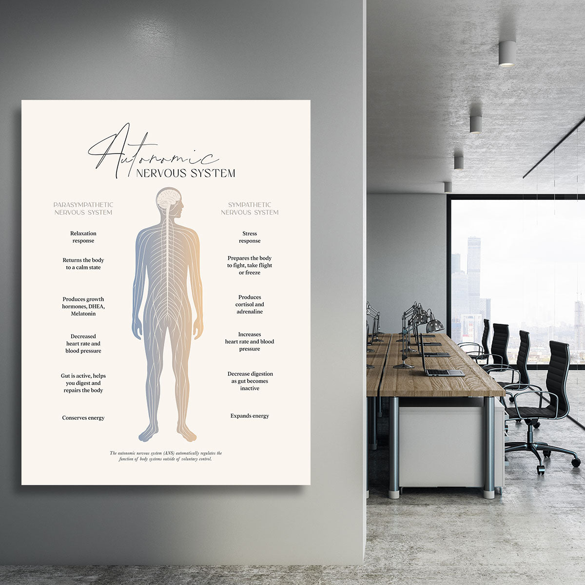 Autonomic Nervous System Canvas Print or Poster - Canvas Art Rocks - 3