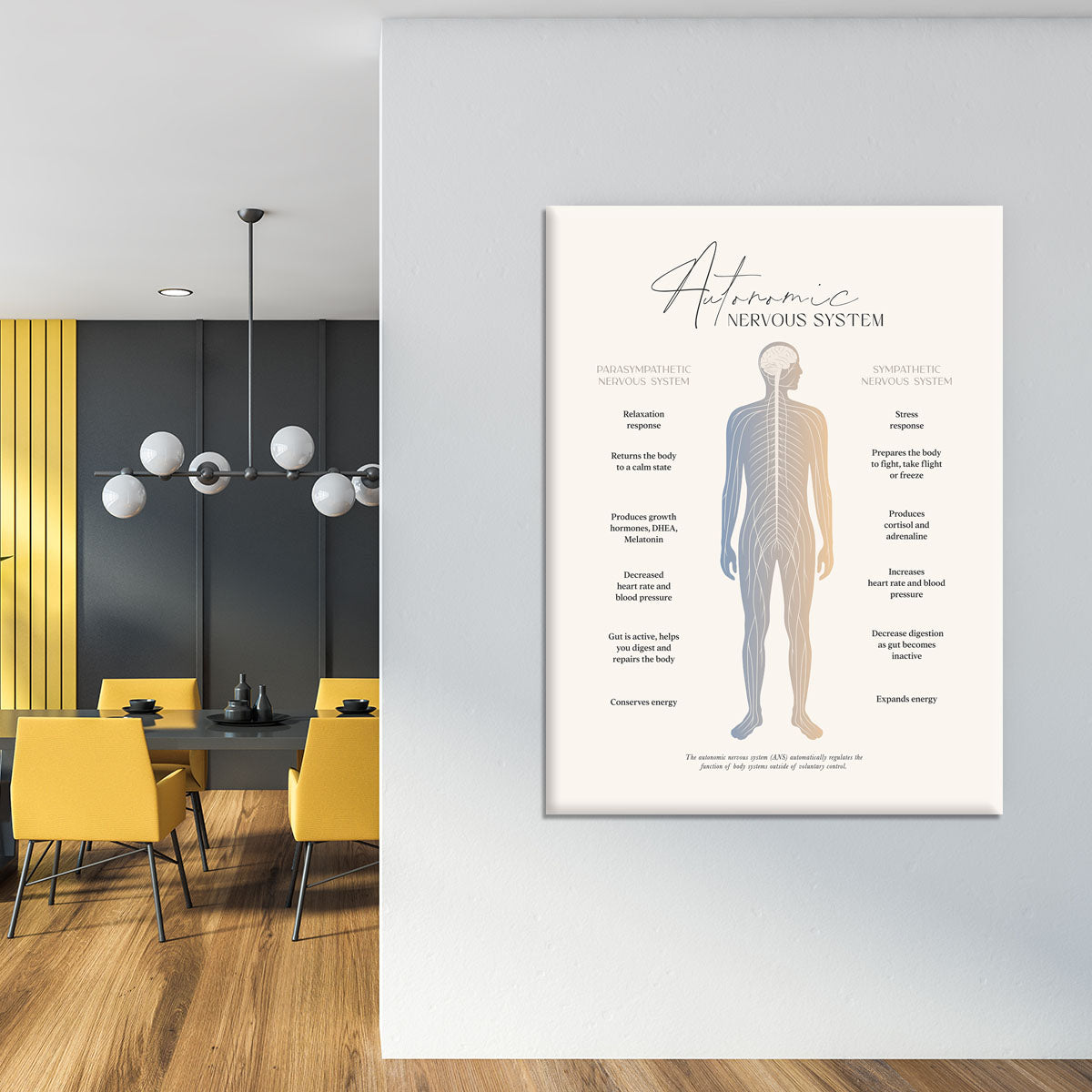 Autonomic Nervous System Canvas Print or Poster - Canvas Art Rocks - 4