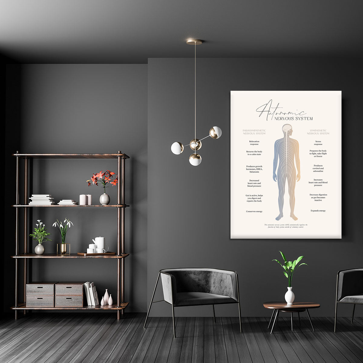 Autonomic Nervous System Canvas Print or Poster - Canvas Art Rocks - 5