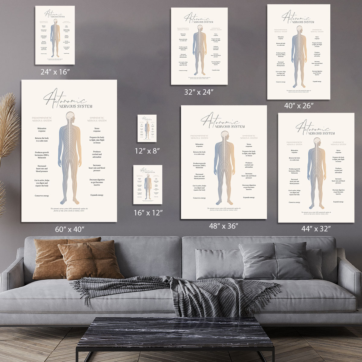 Autonomic Nervous System Canvas Print or Poster - Canvas Art Rocks - 7