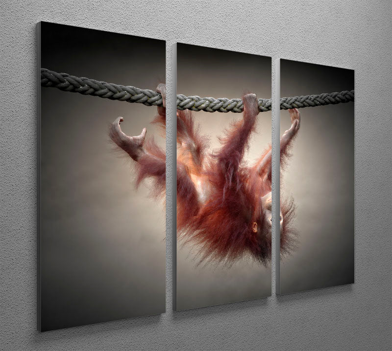 Baby Monkey 3 Split Panel Canvas Print - 1x - 2