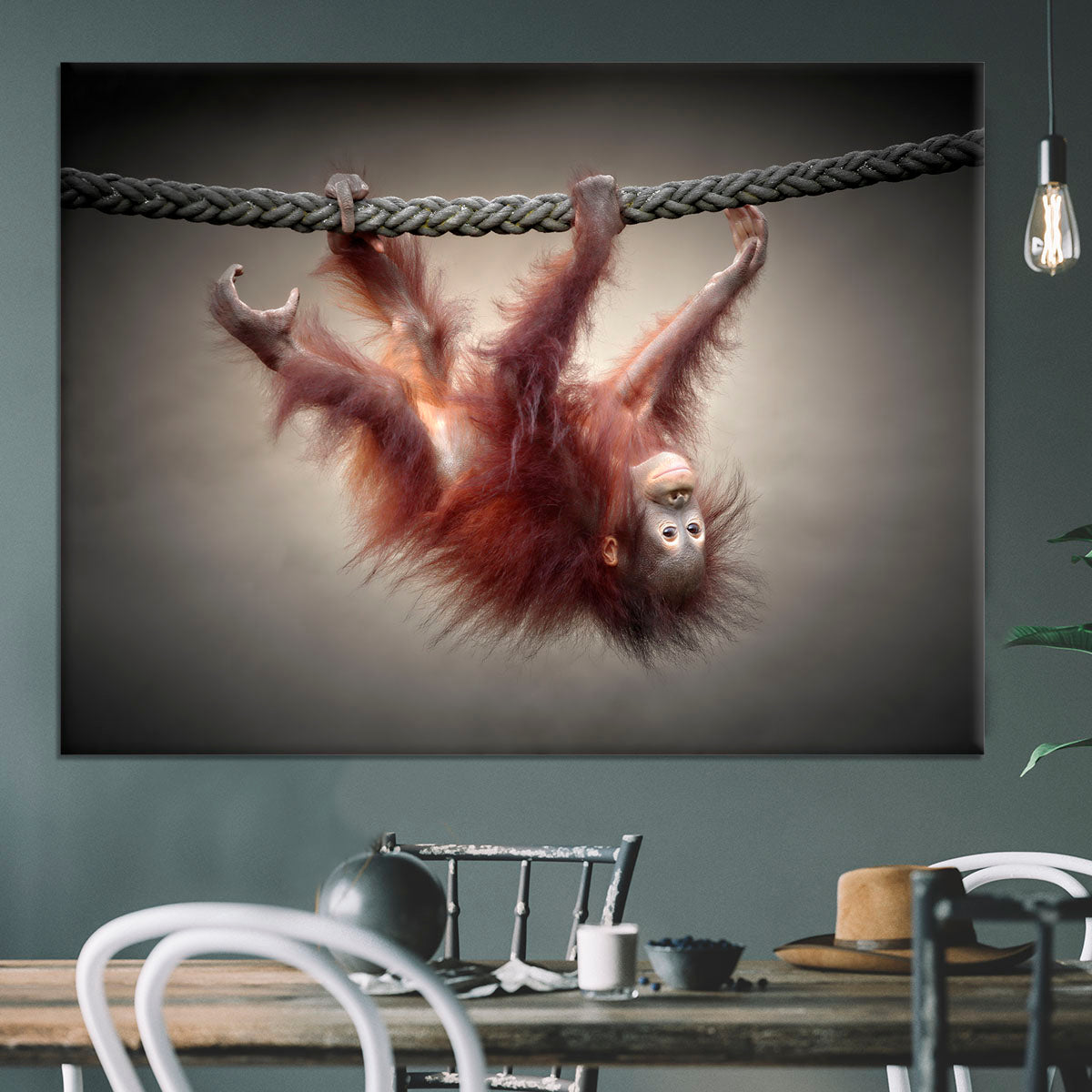 Baby Monkey Canvas Print or Poster - 1x - 3