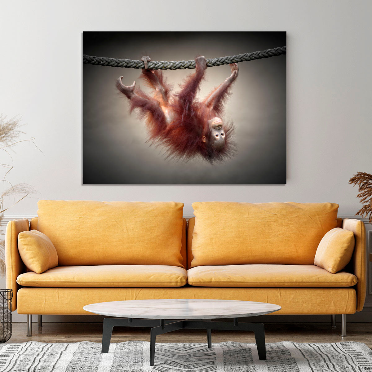 Baby Monkey Canvas Print or Poster - 1x - 4