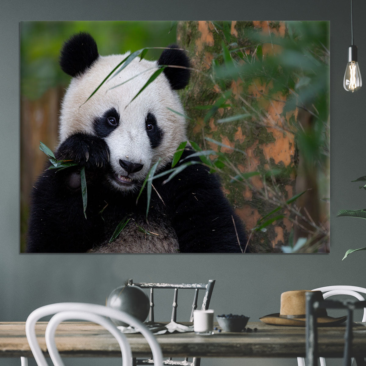 Bamboo Time Canvas Print or Poster - 1x - 3