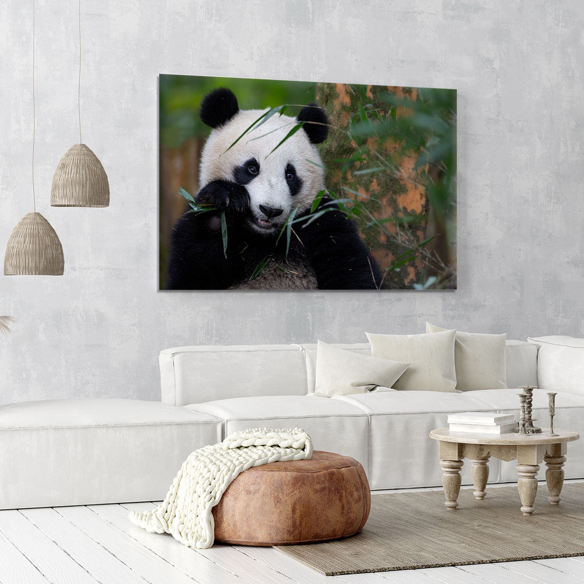 Bamboo Time Canvas Print or Poster - 1x - 6