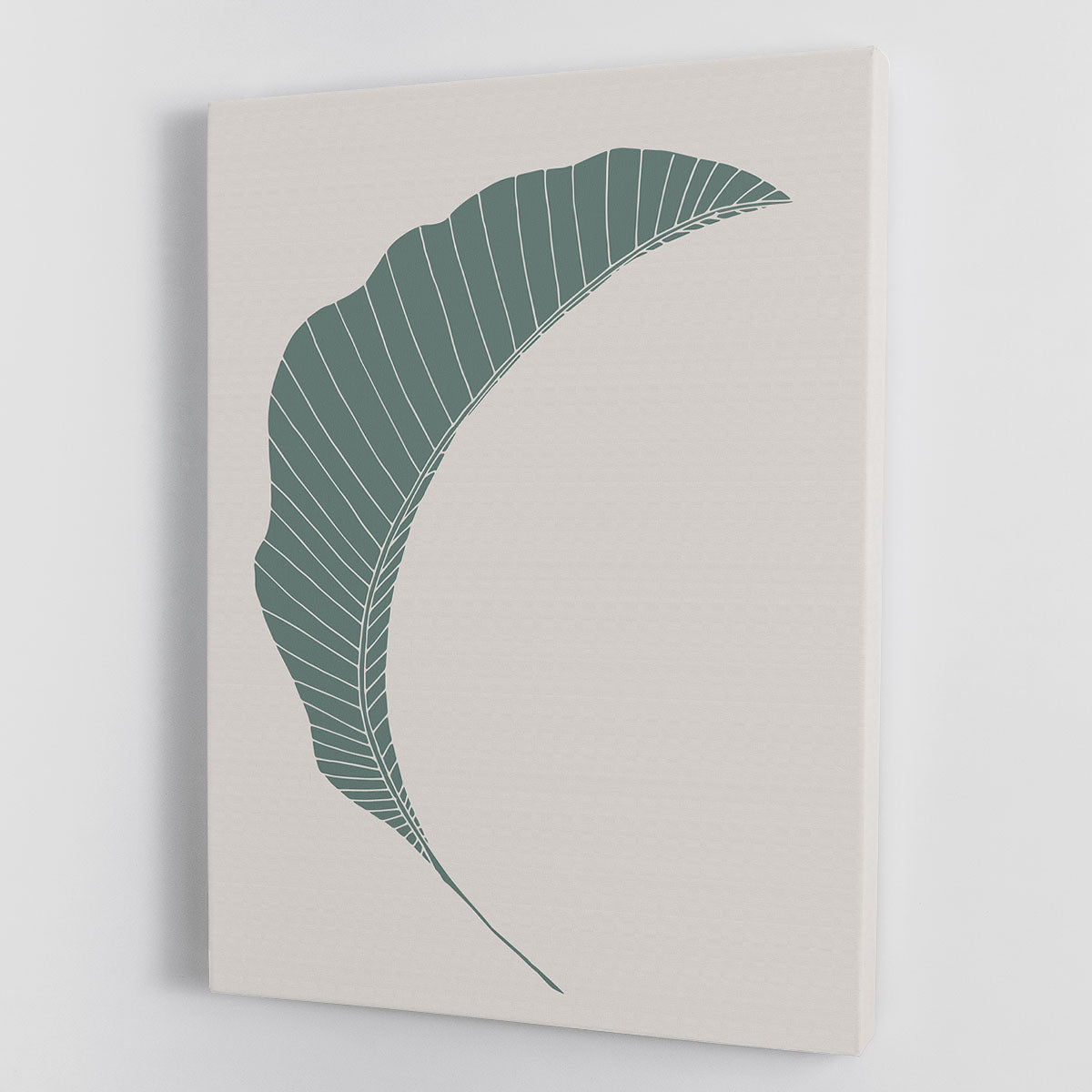 Banana Leaf Green Canvas Print or Poster - 1x - 1