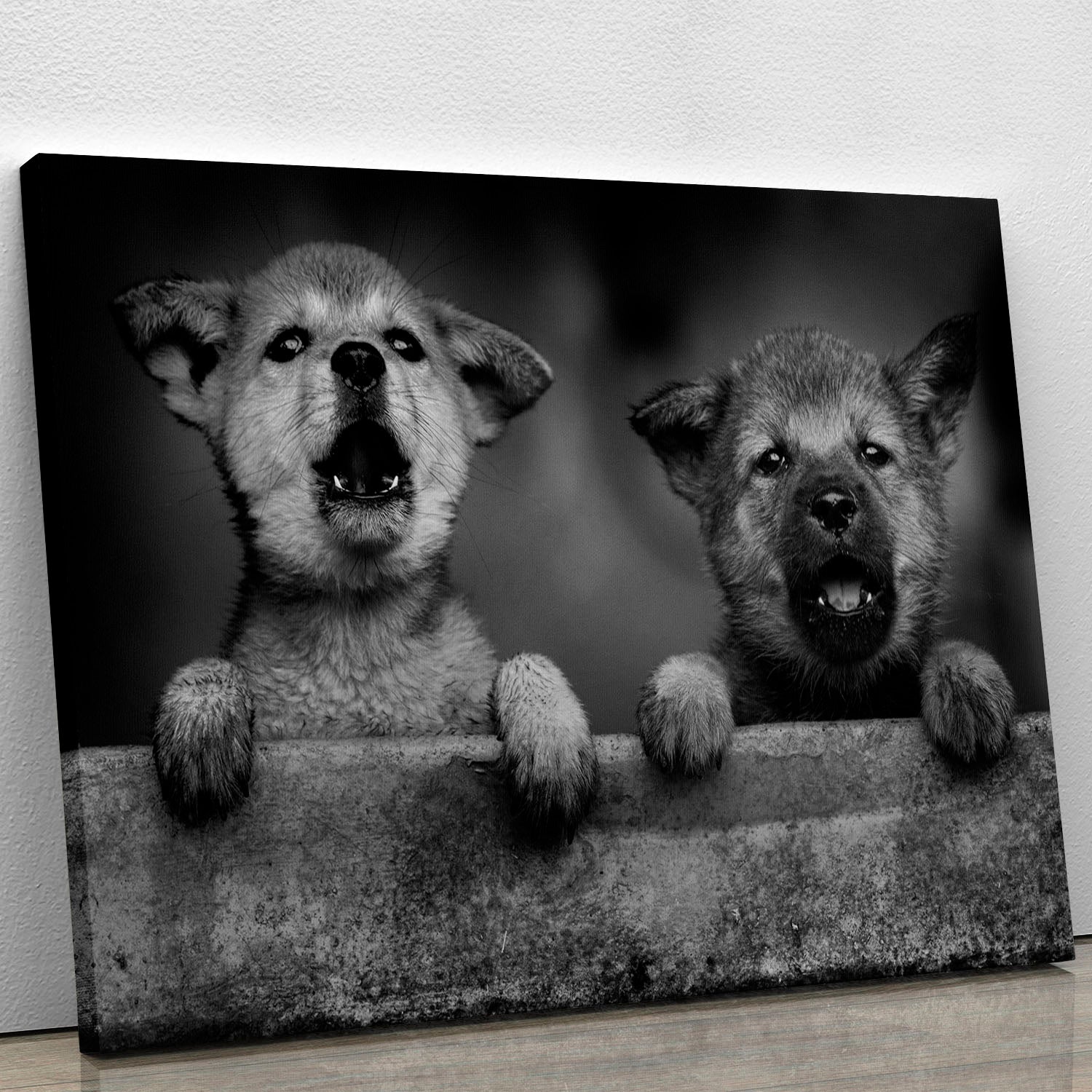 Black and White Puppies Canvas Print or Poster - 1x - 1