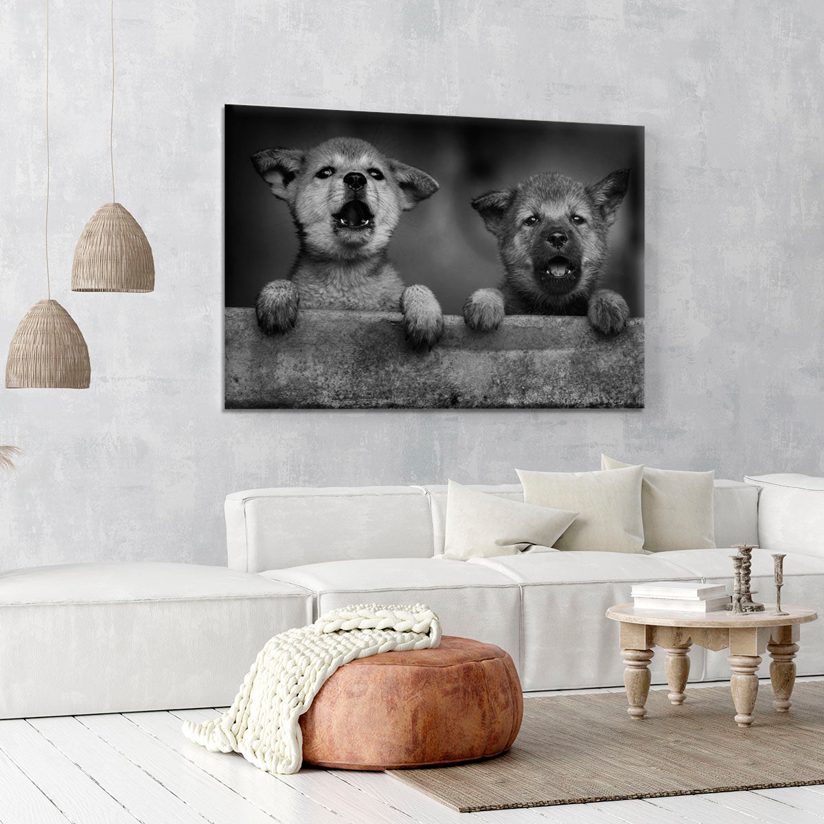 Black and White Puppies Canvas Print or Poster - 1x - 6