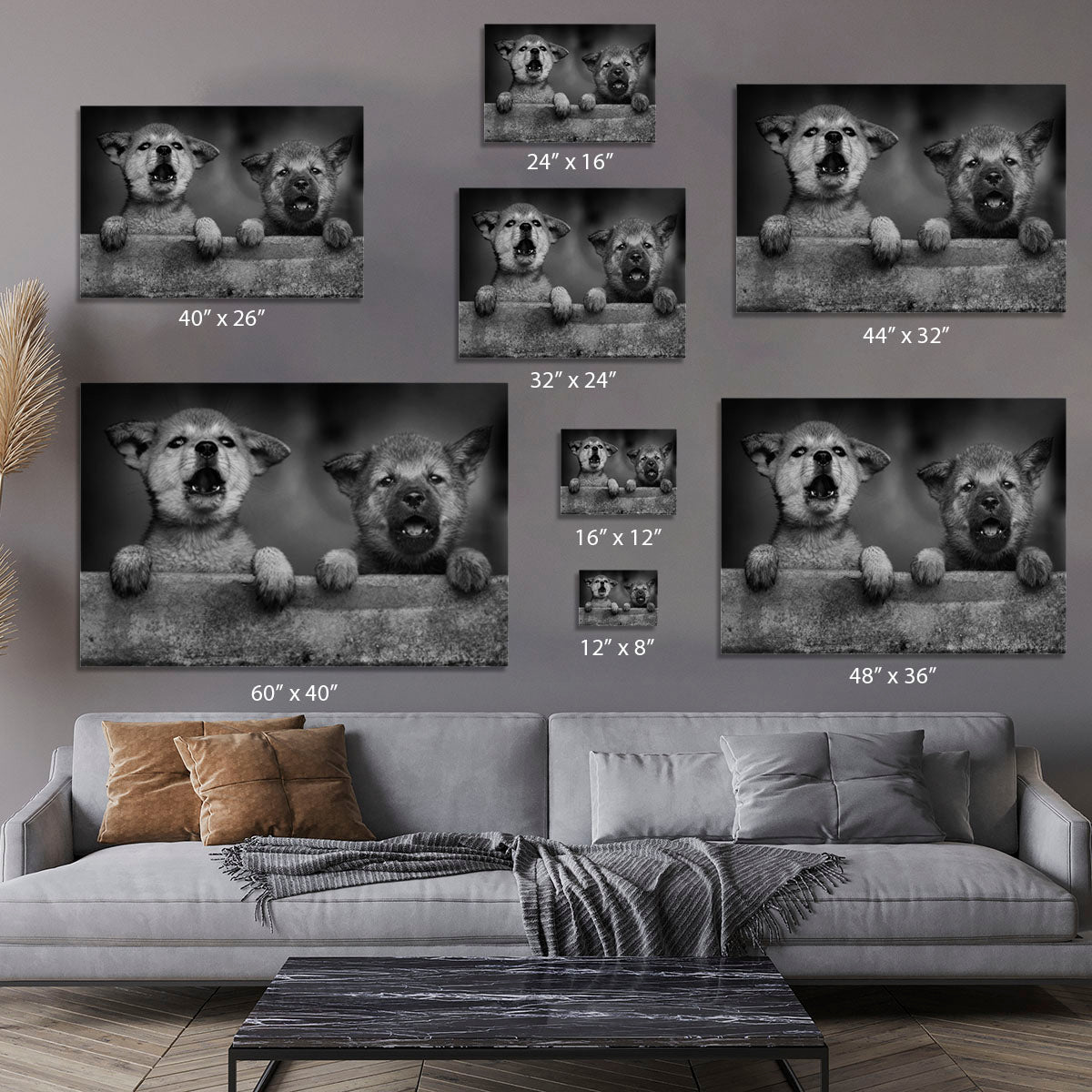 Black and White Puppies Canvas Print or Poster - 1x - 7