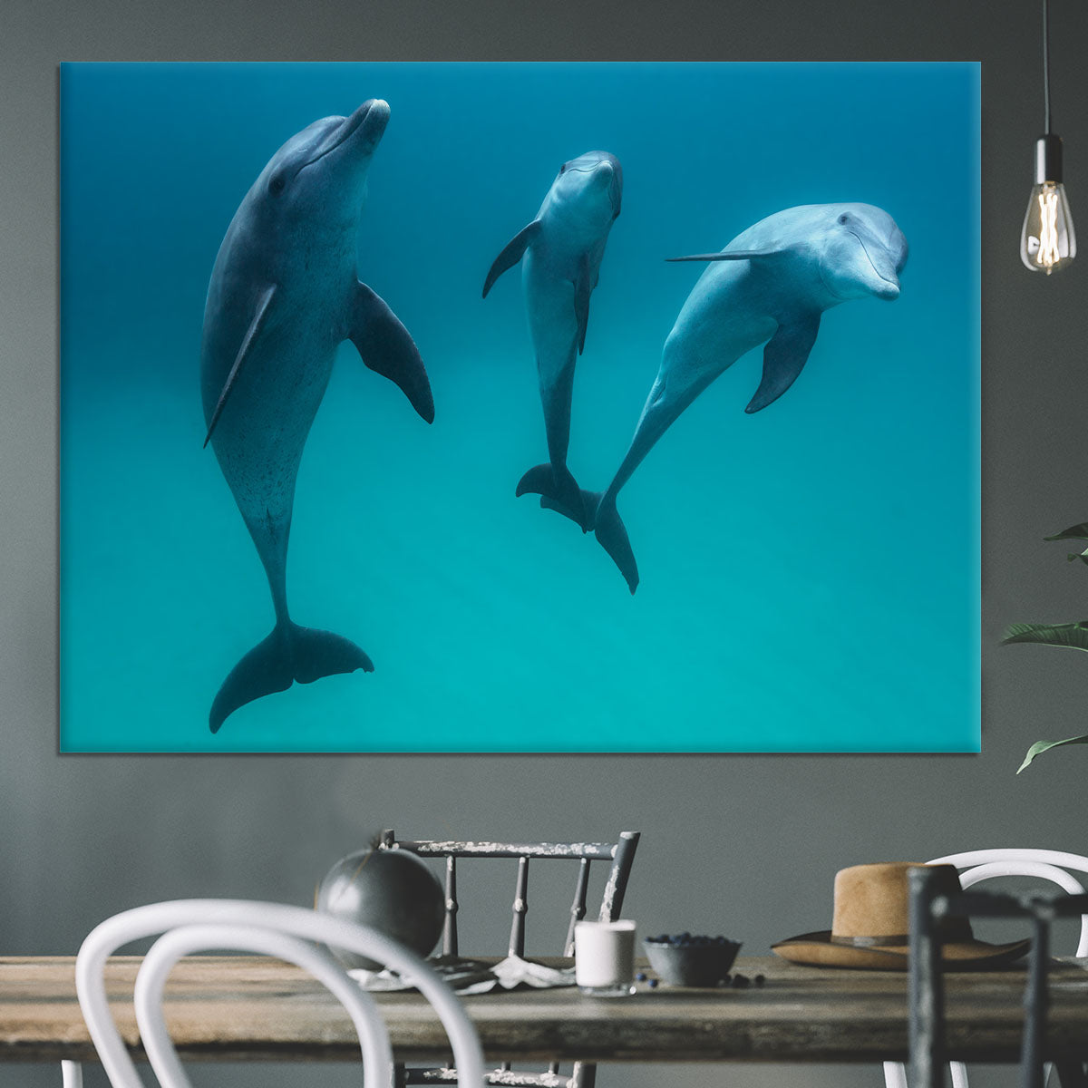 Bottlenose dolphins Canvas Print or Poster - 1x - 3