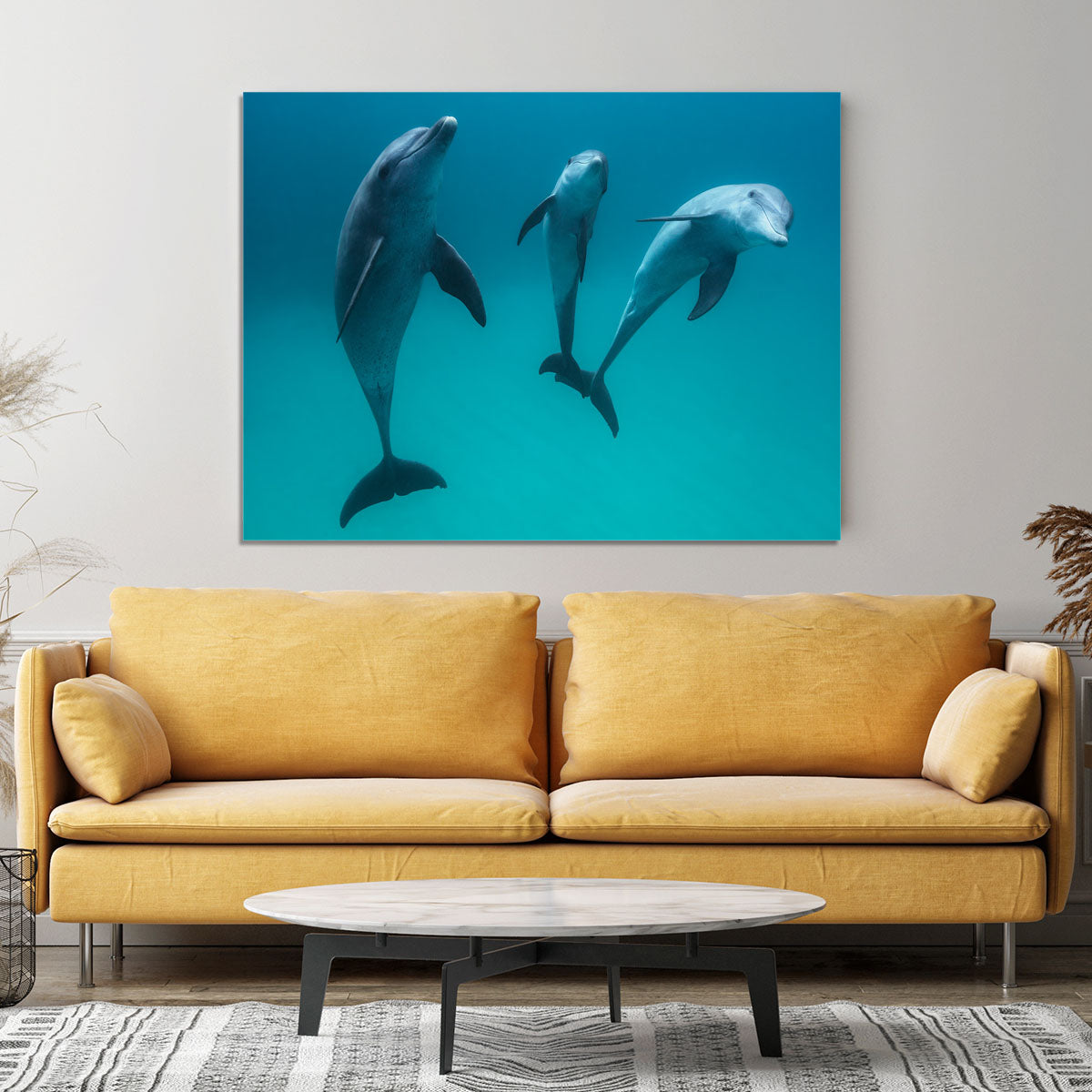 Bottlenose dolphins Canvas Print or Poster - 1x - 4