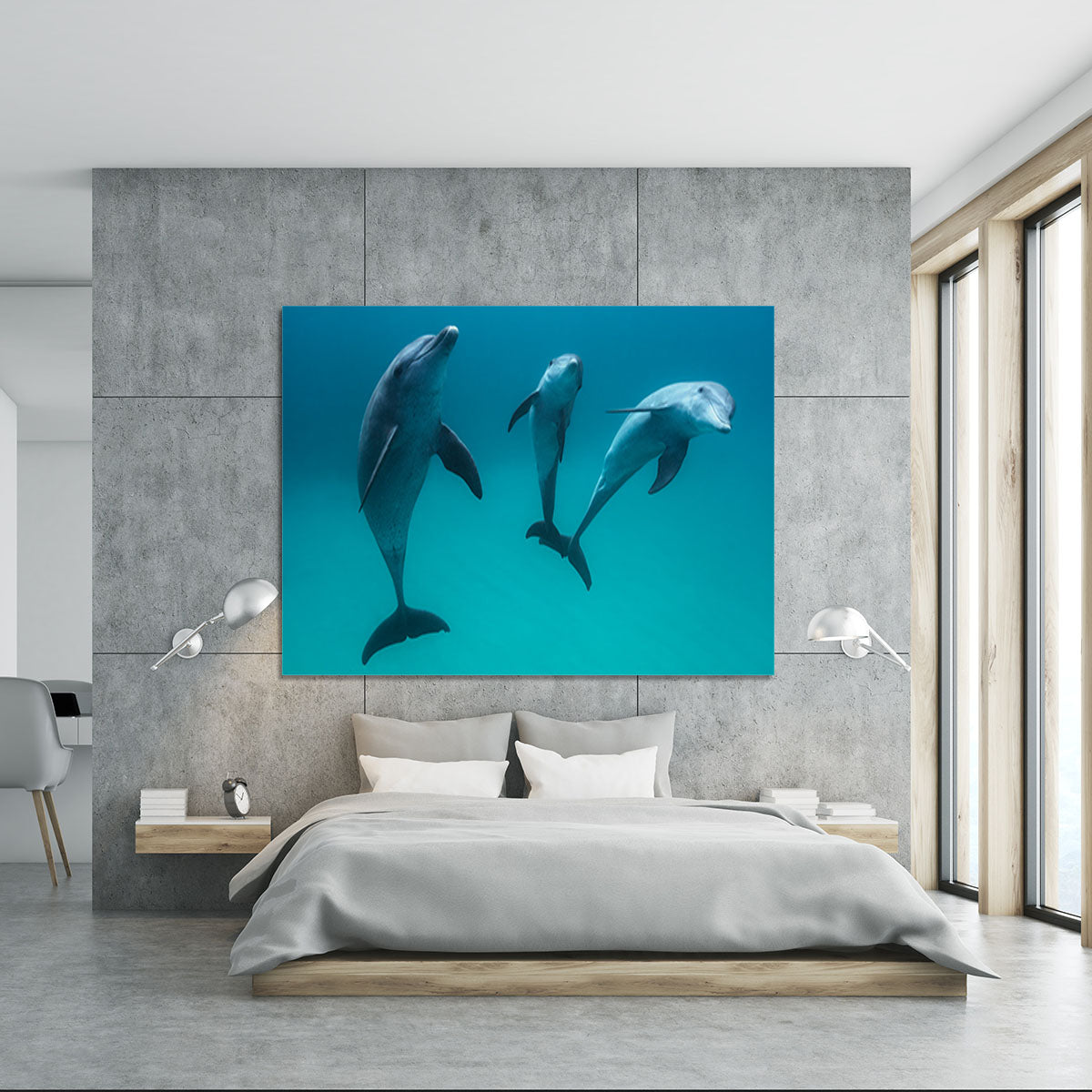 Bottlenose dolphins Canvas Print or Poster - 1x - 5