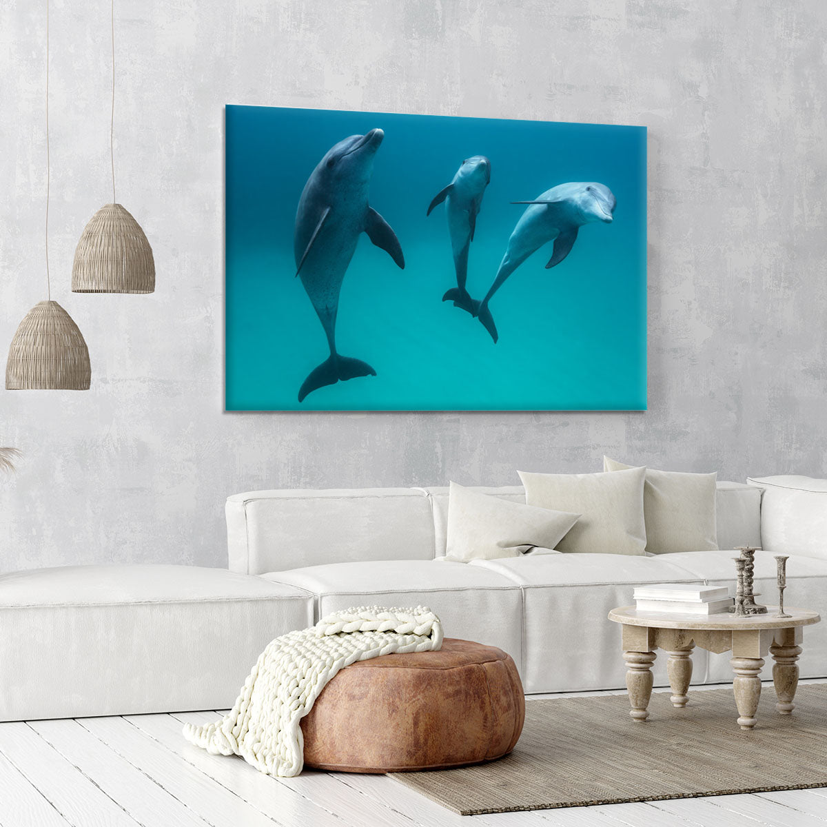 Bottlenose dolphins Canvas Print or Poster - 1x - 6