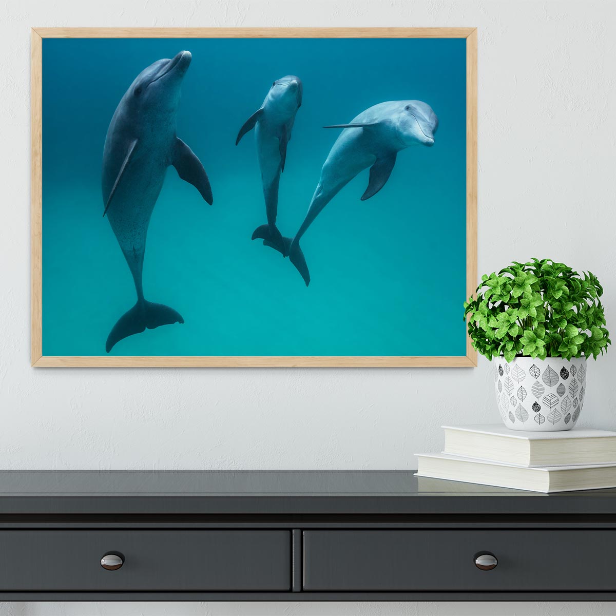 Bottlenose dolphins Framed Print - 1x - 4