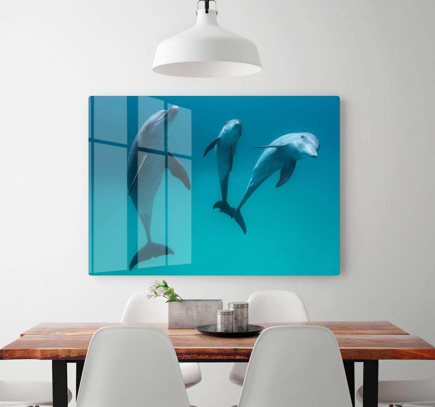 Bottlenose dolphins Acrylic Block - 1x - 2