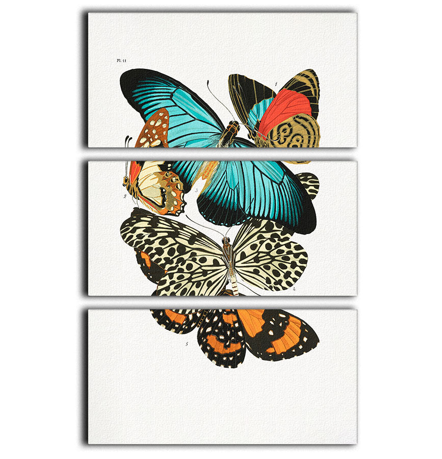 Butterflies Part 11 3 Split Panel Canvas Print - Canvas Art Rocks - 1
