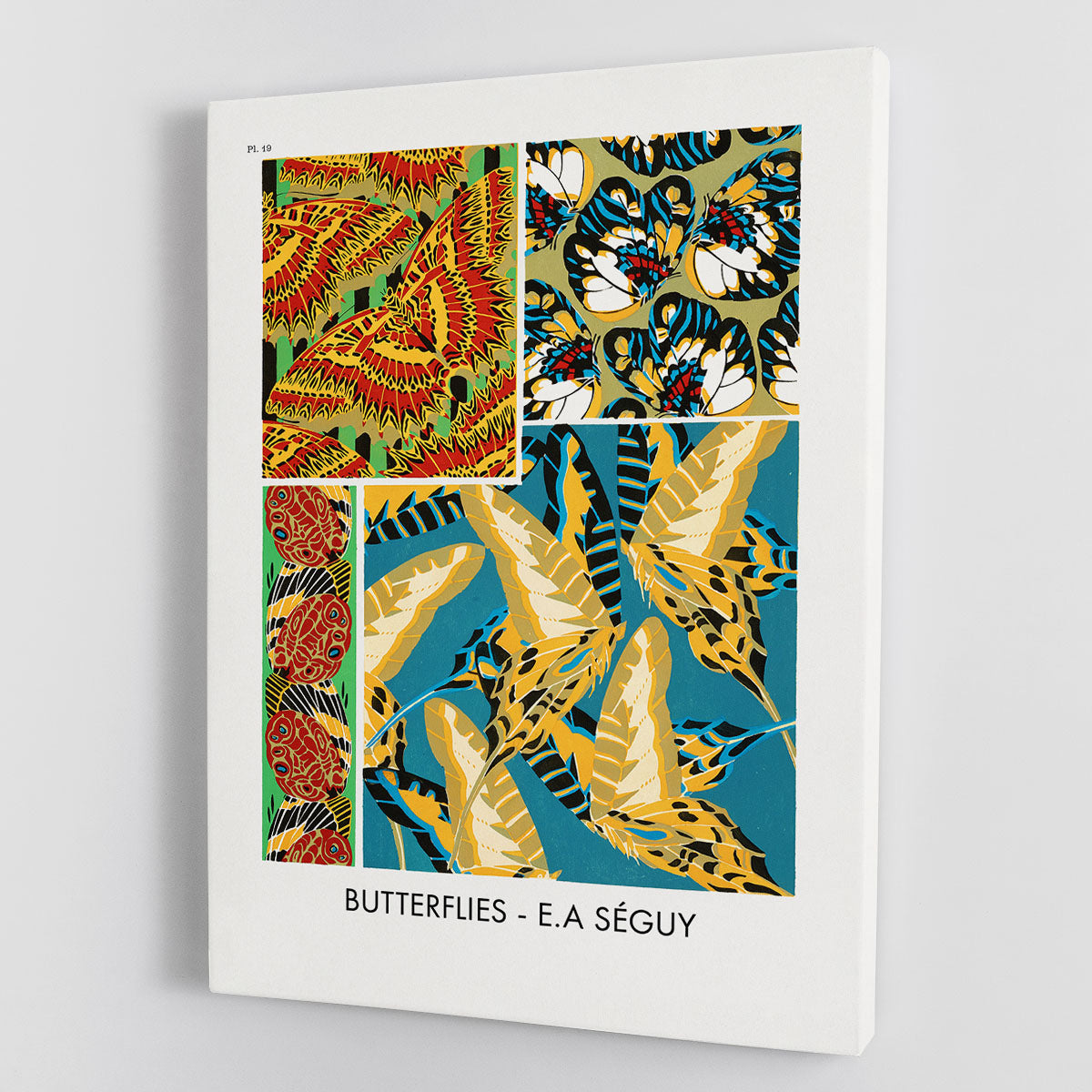 Butterflies Part 19 Canvas Print or Poster - Canvas Art Rocks - 1