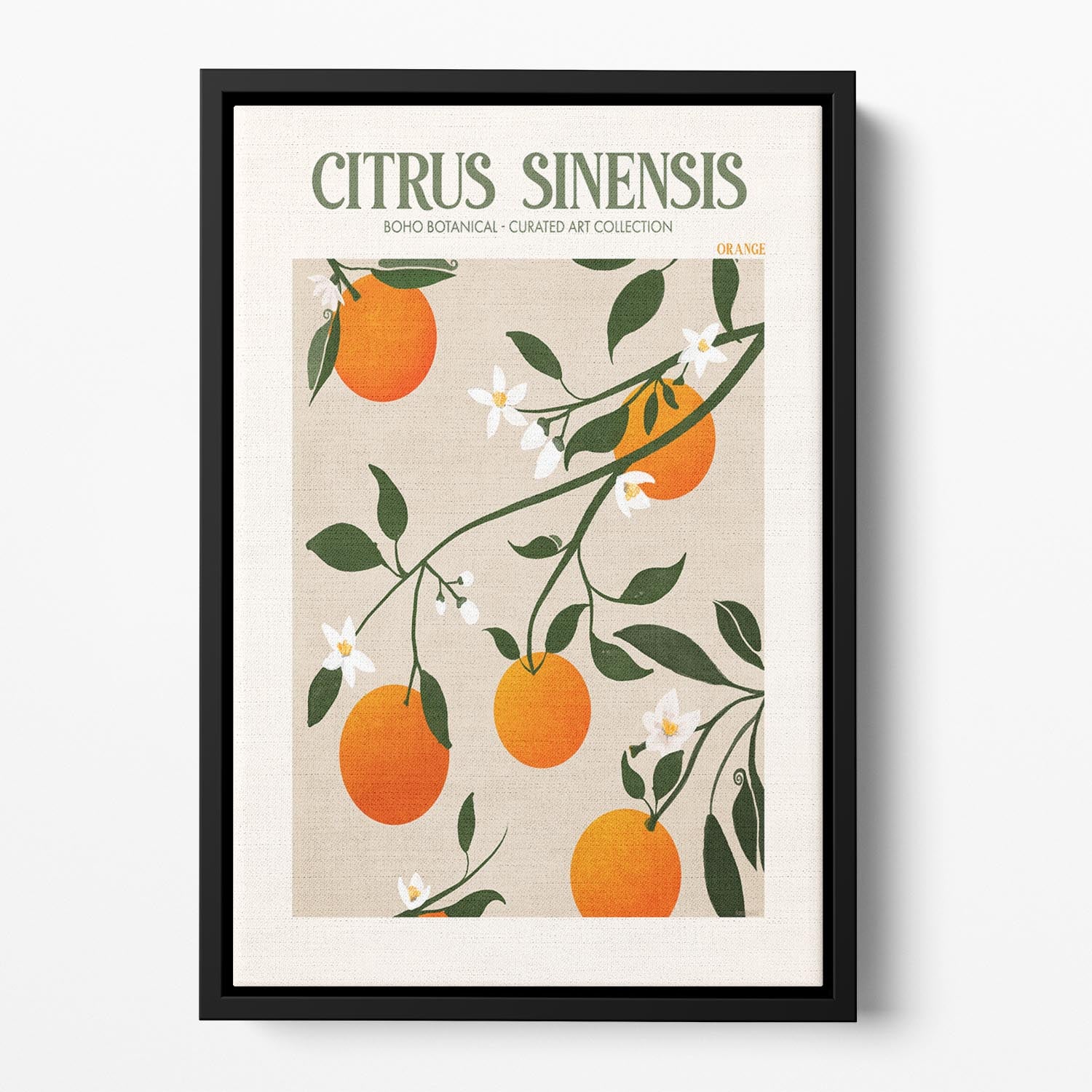 Citrus Sinensis Floating Framed Canvas - Canvas Art Rocks - 2