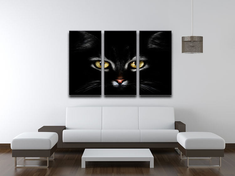 Close Up Cat 3 Split Panel Canvas Print - 1x - 3