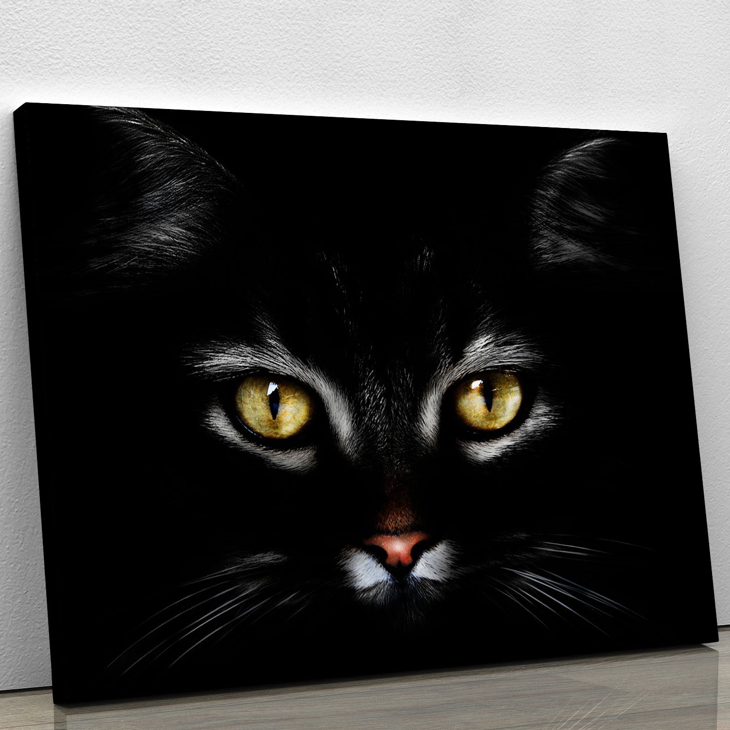 Close Up Cat Canvas Print or Poster - 1x - 1