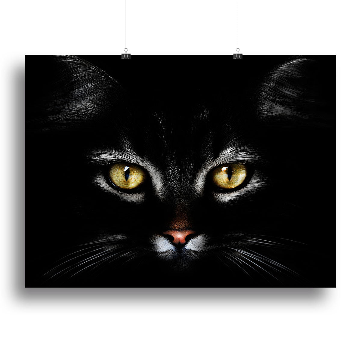 Close Up Cat Canvas Print or Poster - 1x - 2