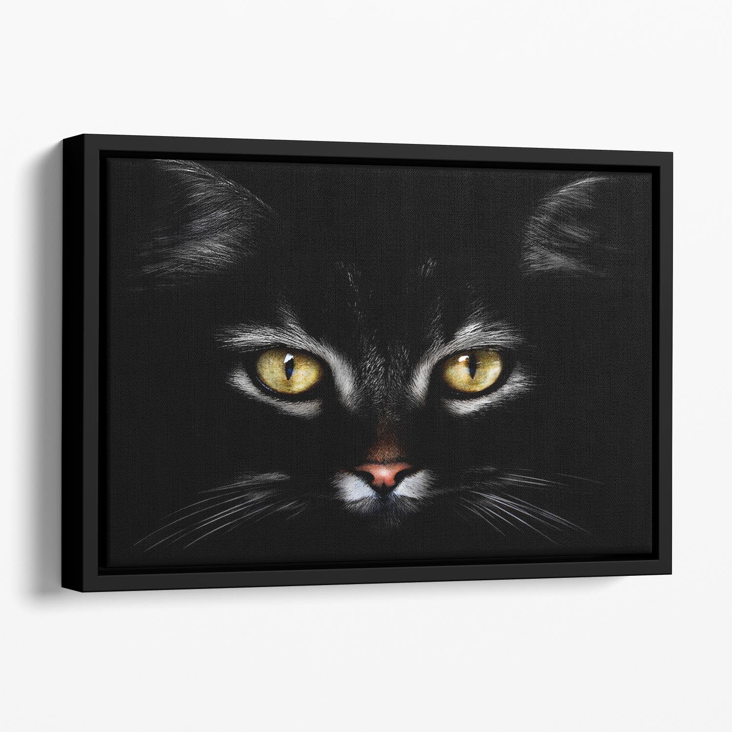Close Up Cat Floating Framed Canvas - 1x - 1