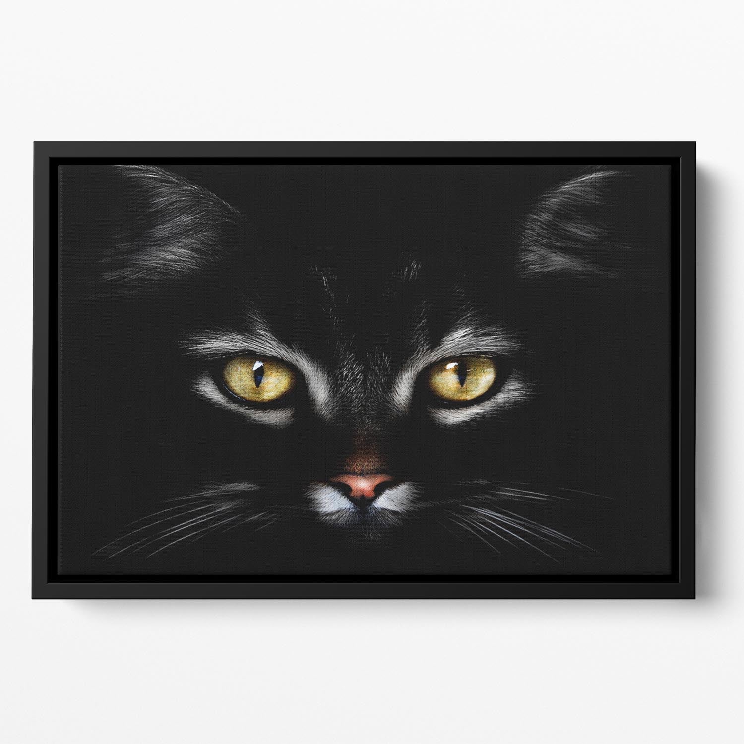 Close Up Cat Floating Framed Canvas - 1x - 2
