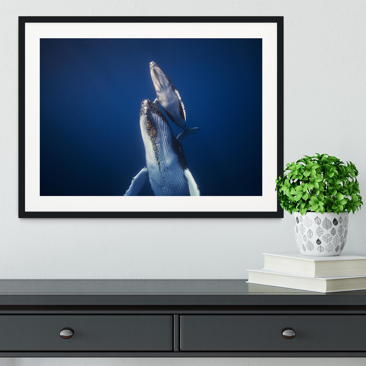 Come back to the surface Framed Print - 1x - 1