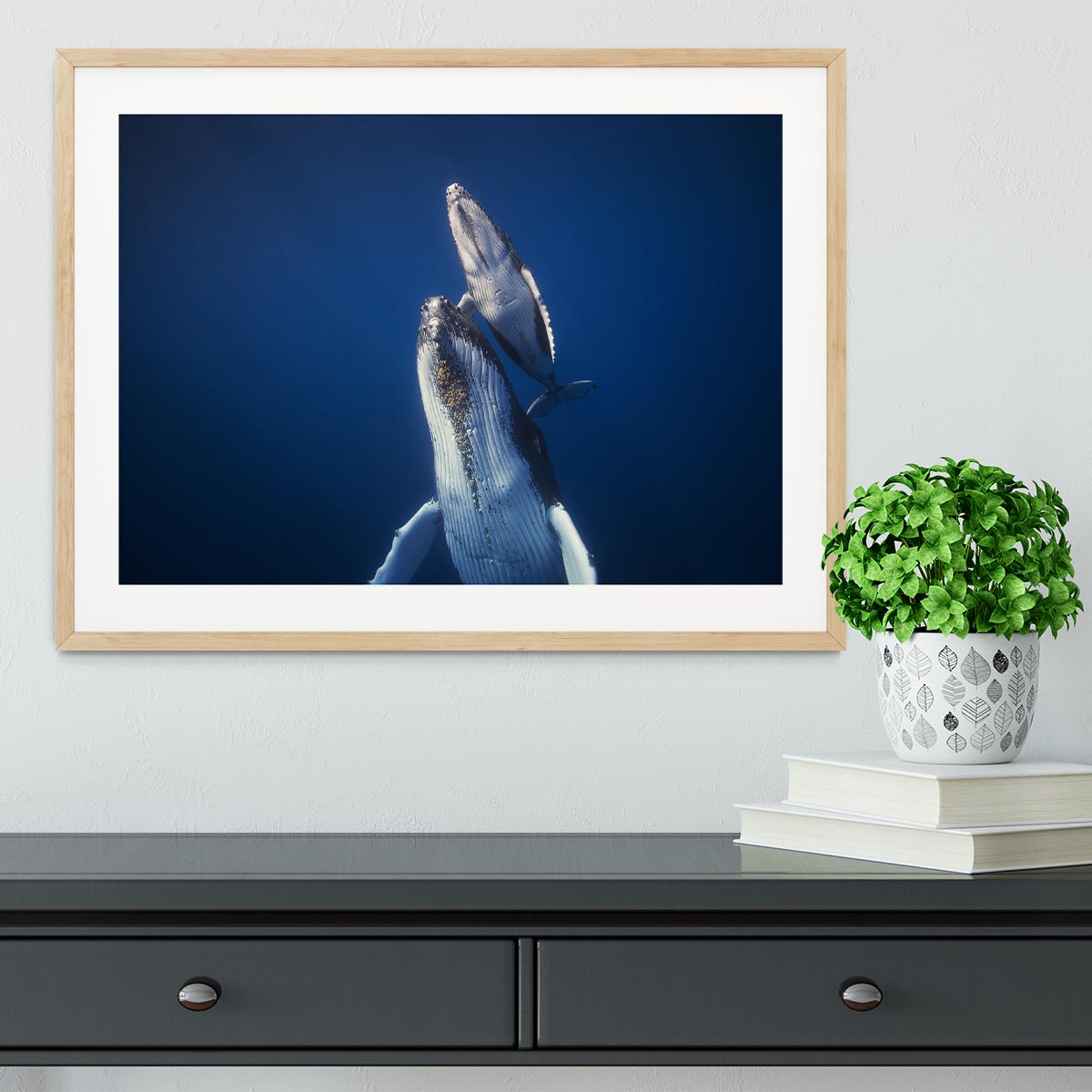 Come back to the surface Framed Print - 1x - 3