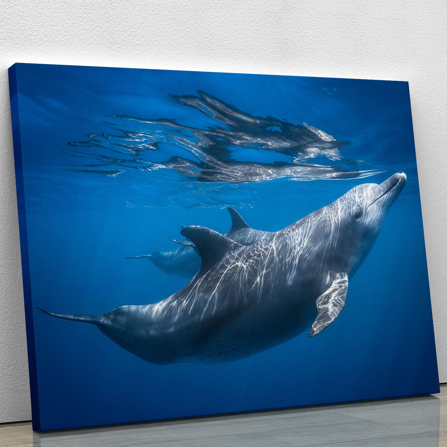 Dolphin at the surface Canvas Print or Poster - 1x - 1