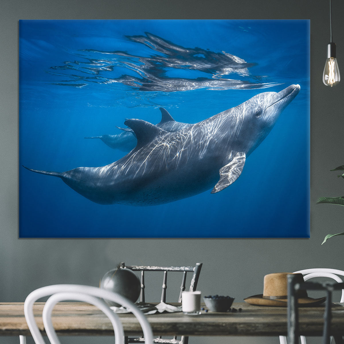 Dolphin at the surface Canvas Print or Poster - 1x - 3