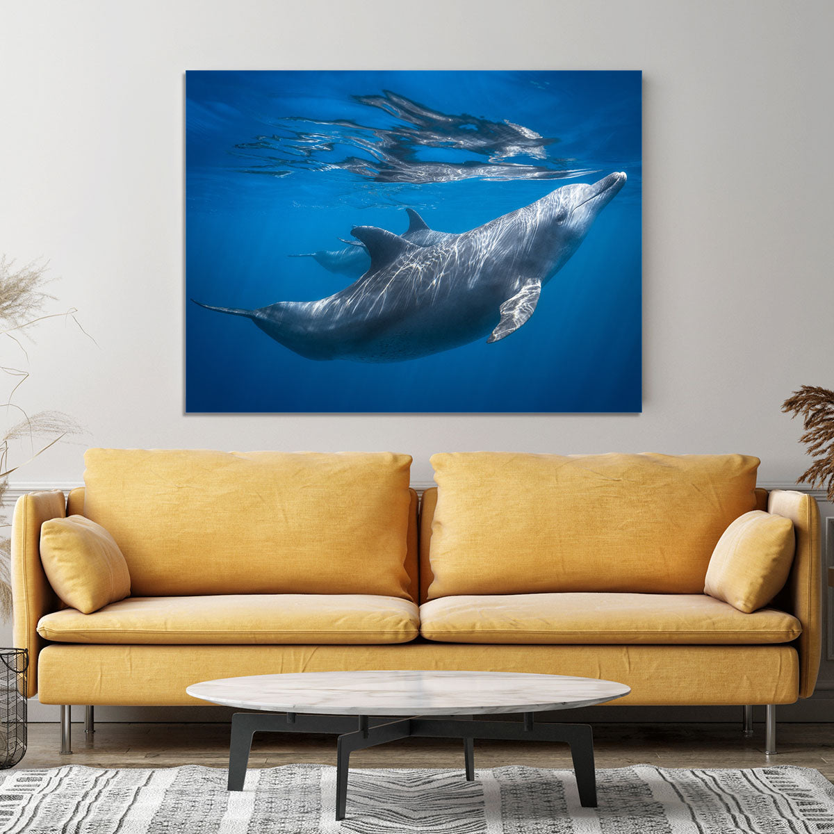Dolphin at the surface Canvas Print or Poster - 1x - 4