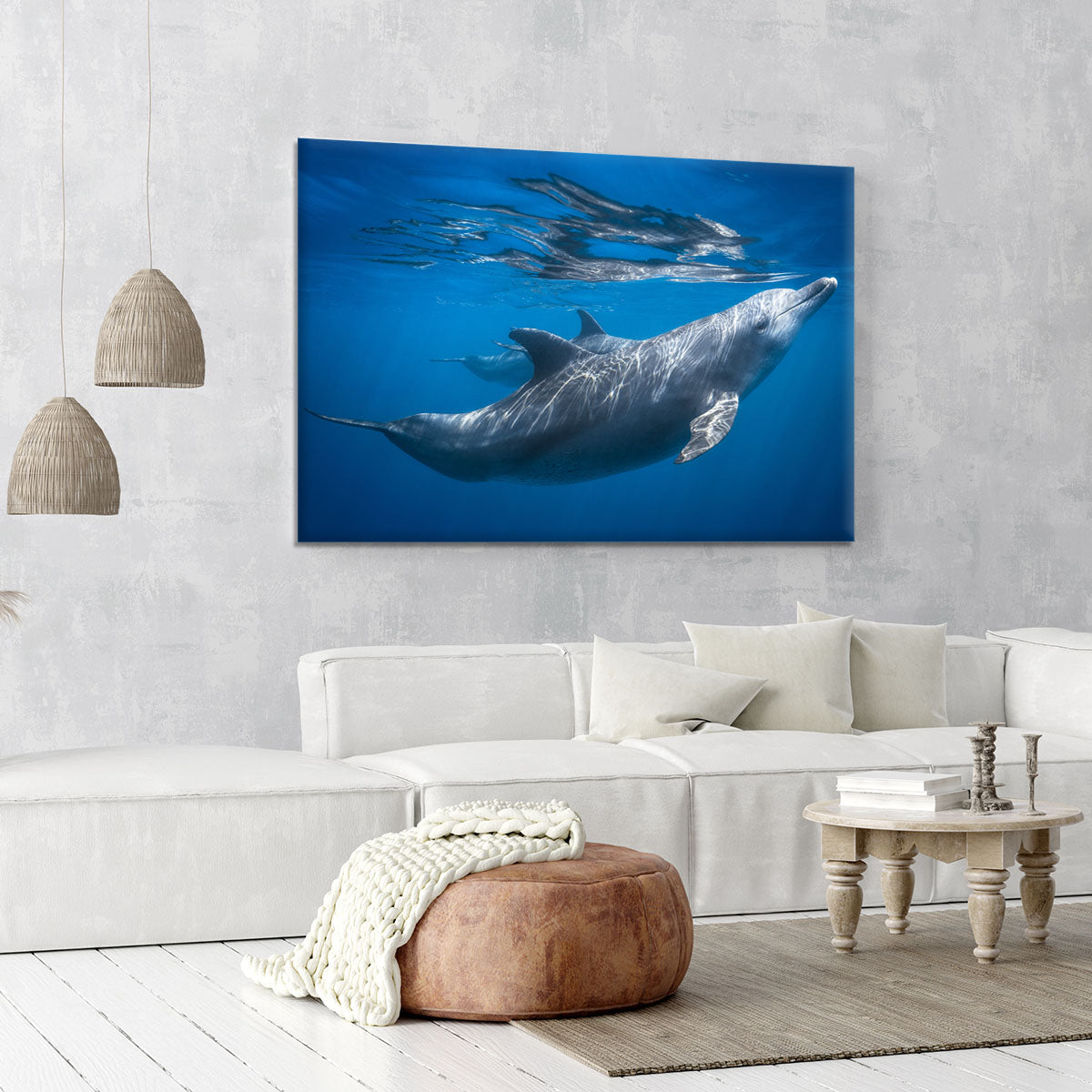 Dolphin at the surface Canvas Print or Poster - 1x - 6