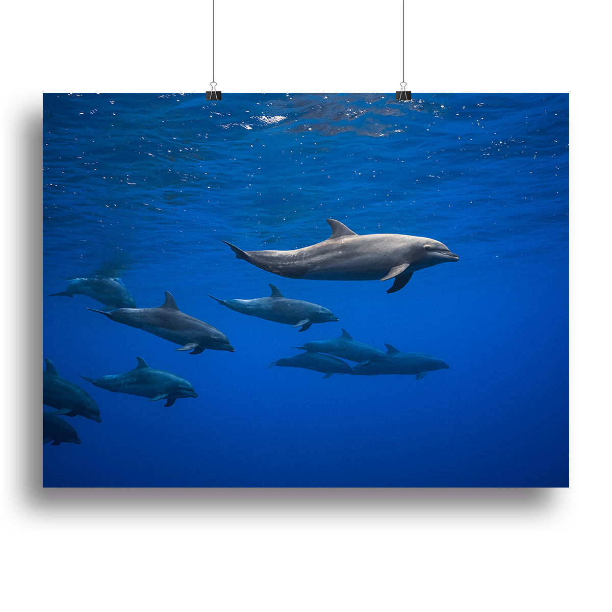 Dolphins Canvas Print or Poster - 1x - 2