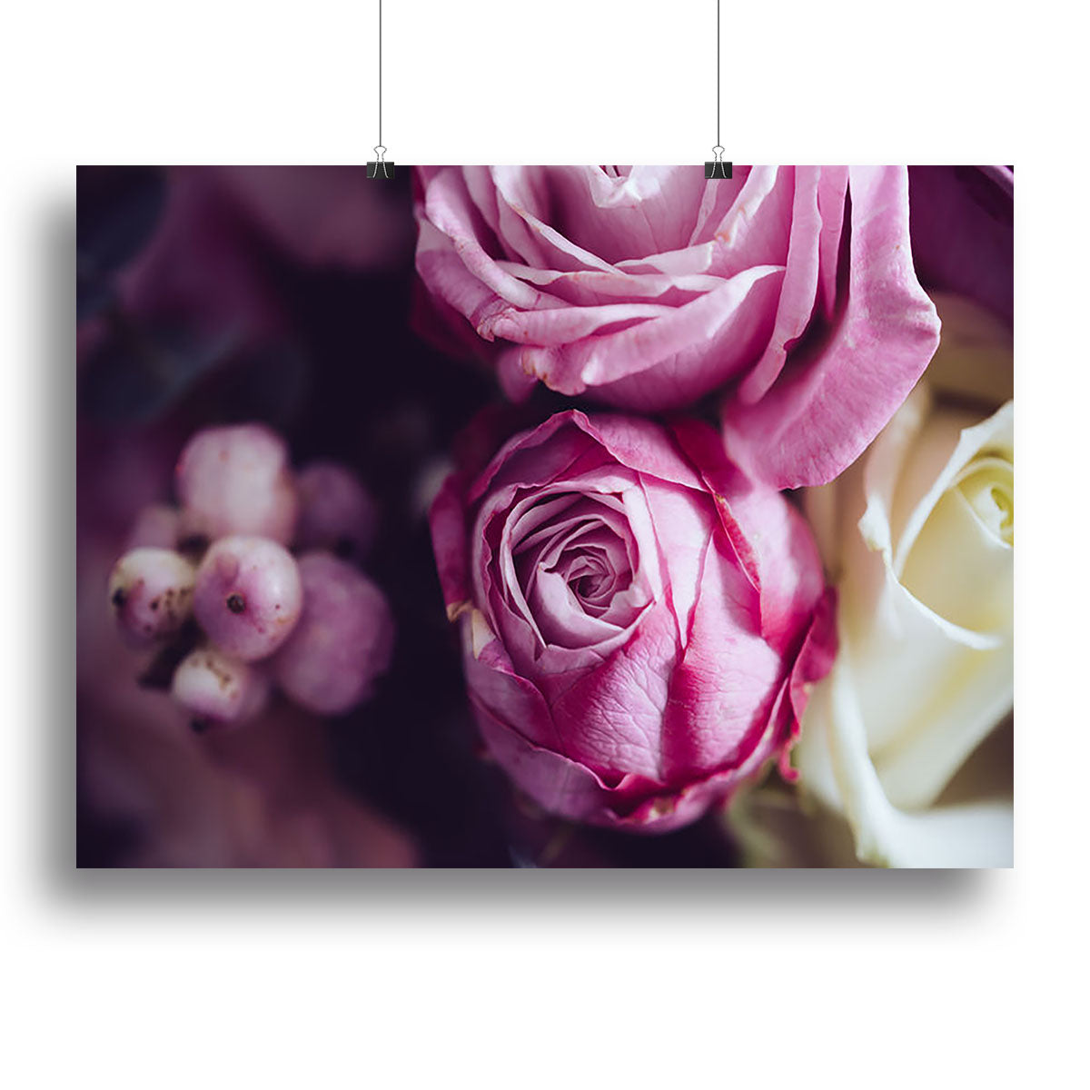 Elegant bouquet of pink and white roses Poster - Unframed