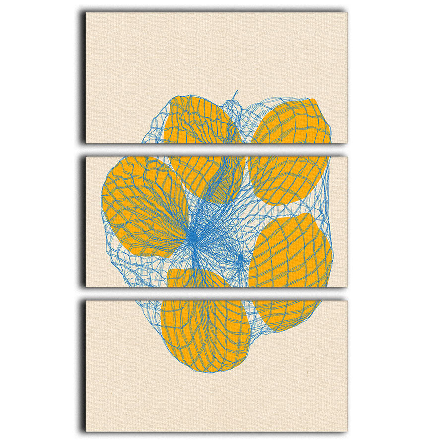 Five Lemons In a Net Bag 3 Split Panel Canvas Print - Canvas Art Rocks - 1