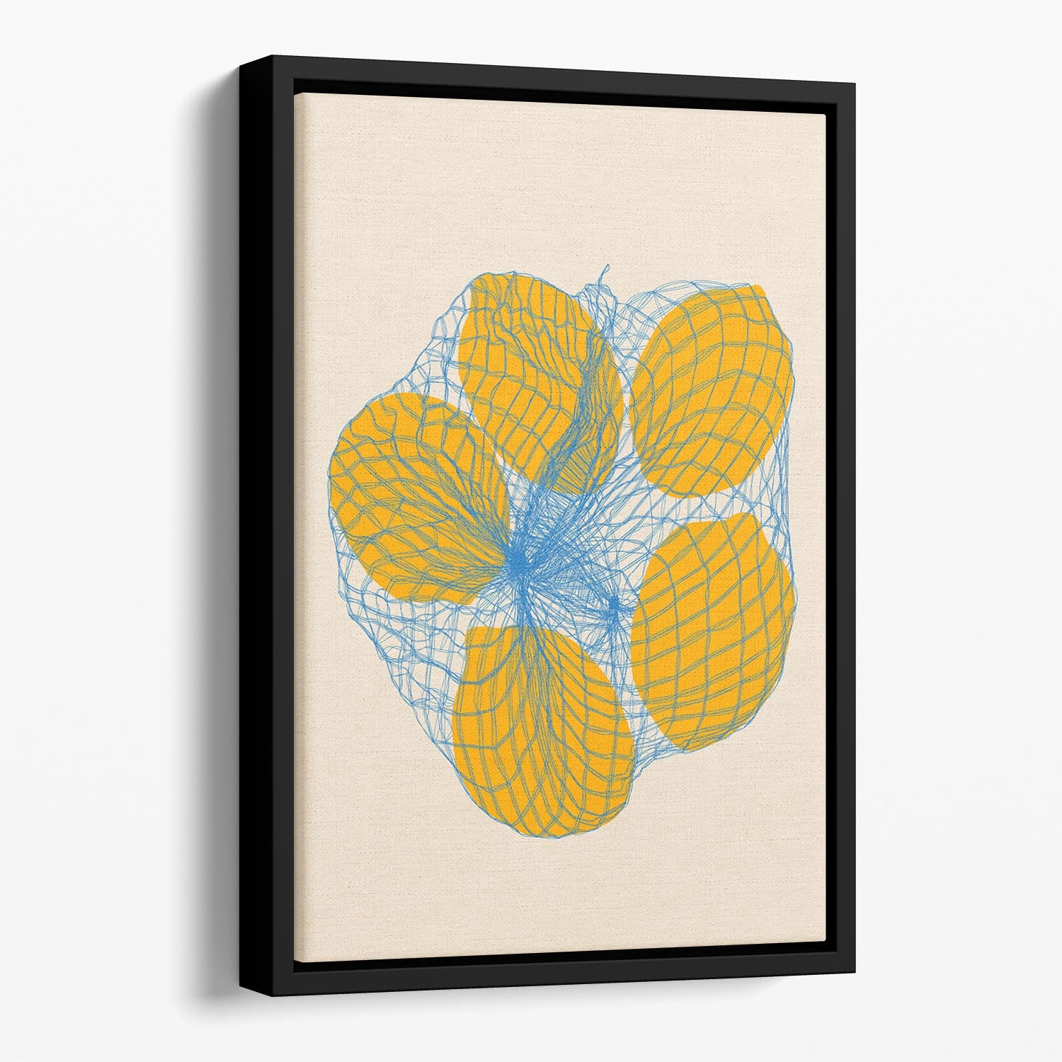 Five Lemons In a Net Bag Floating Framed Canvas - Canvas Art Rocks - 1