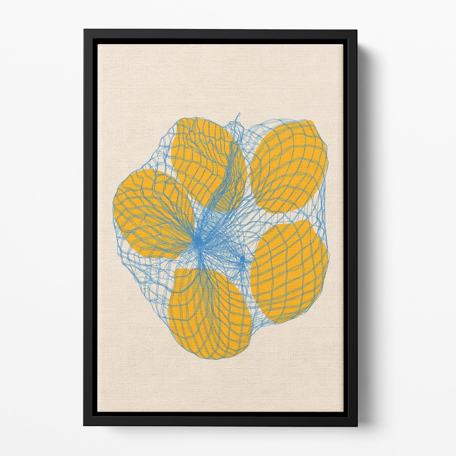 Five Lemons In a Net Bag Floating Framed Canvas - Canvas Art Rocks - 2