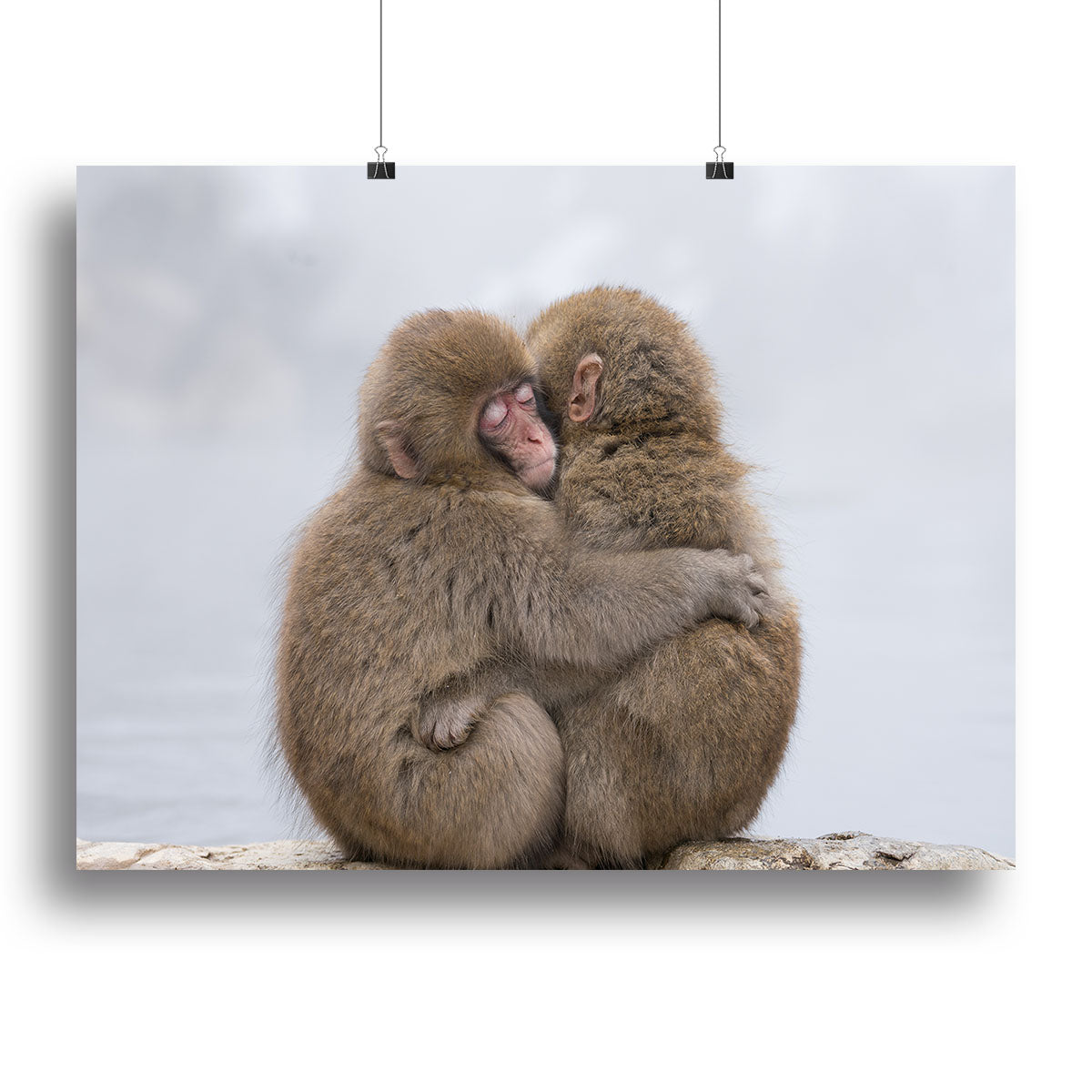 Forever Friends Canvas Print or Poster - 1x - 2